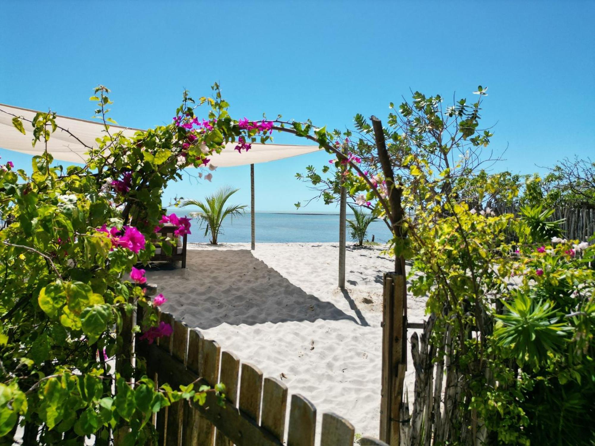 Casa Camurupim Barra Grande  Eksteriør bilde